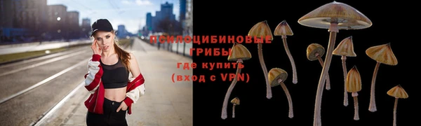 ешки Алексин