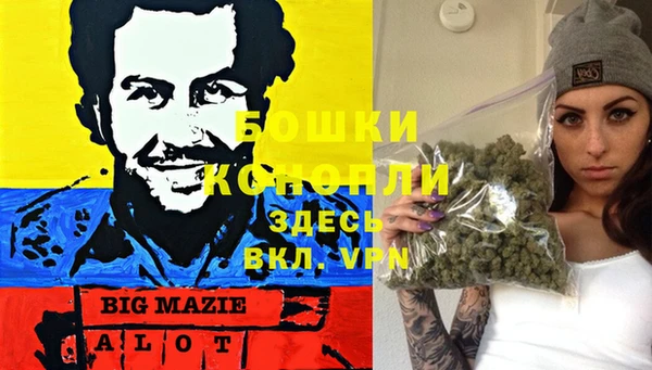 ешки Алексин