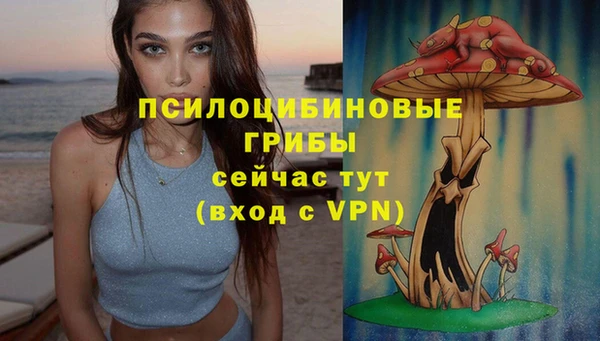 мет Алзамай