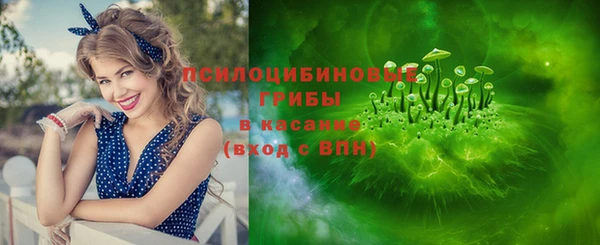 ешки Алексин