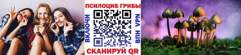 Галлюциногенные грибы Magic Shrooms Павлово