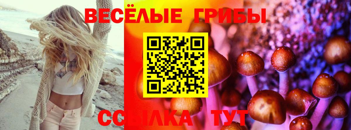 Галлюциногенные грибы GOLDEN TEACHER Павлово